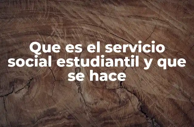 Que es el Servicio Social Estudiantil y que Se Hace