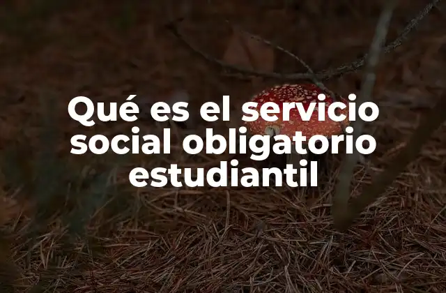 Qué es el Servicio Social Obligatorio Estudiantil