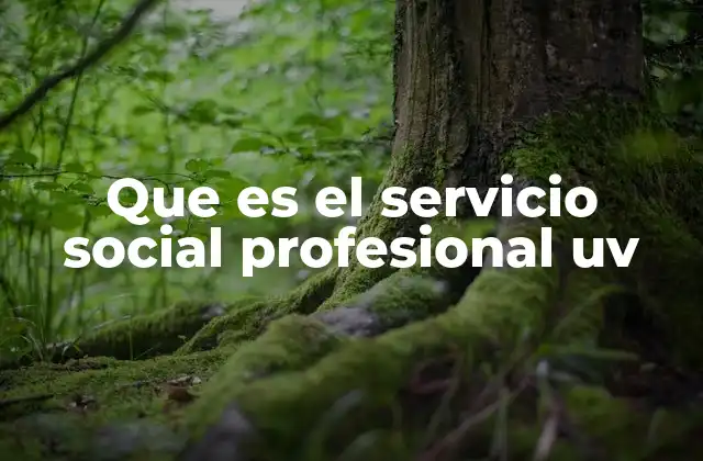 Que es el Servicio Social Profesional Uv