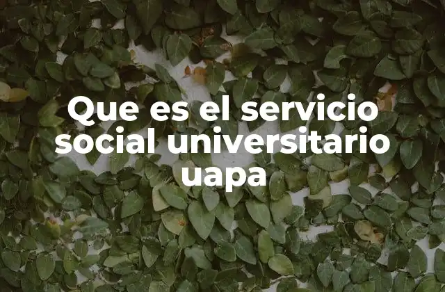 Que es el Servicio Social Universitario Uapa