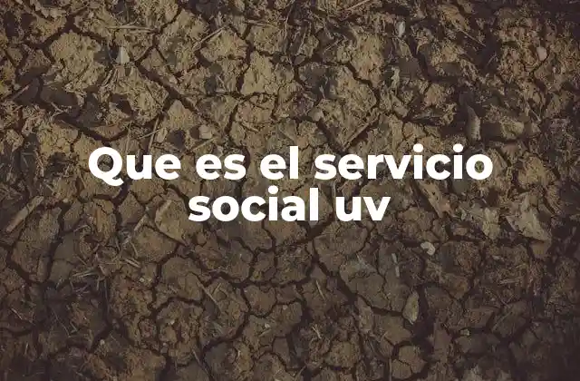 La importancia del servicio social en la formación universitaria