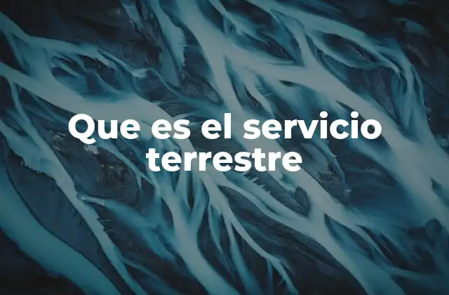 Que es el Servicio Terrestre
