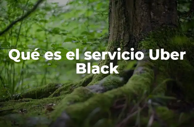 Qué es el Servicio Uber Black