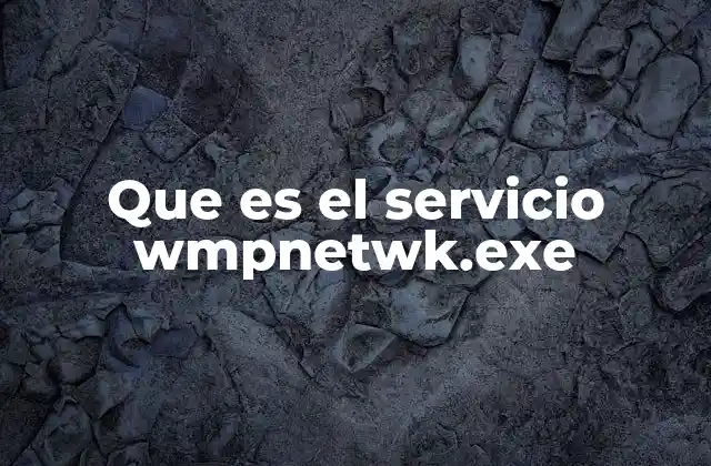 Que es el Servicio Wmpnetwk.exe