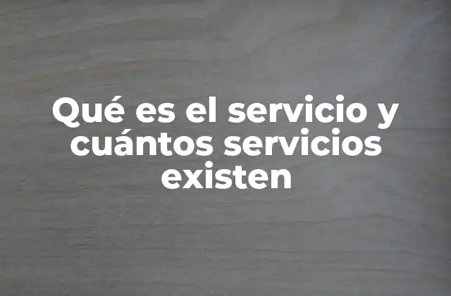 Qué es el Servicio y Cuántos Servicios Existen