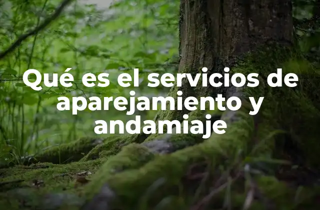 Qué es el Servicios de Aparejamiento y Andamiaje 2 La importancia del diseño previo en los andamios