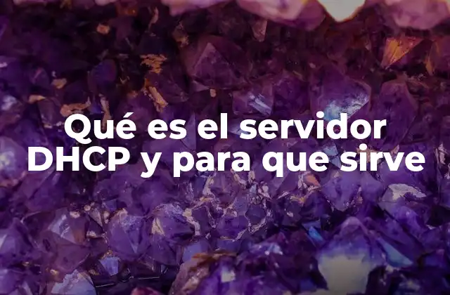 Qué es el Servidor Dhcp y para que Sirve