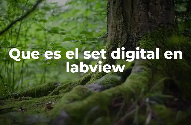 Que es el Set Digital en Labview 2 Cómo el set digital facilita la automatización en sistemas controlados