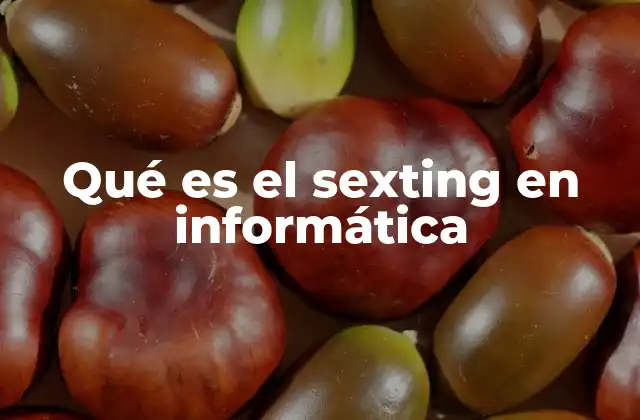 Qué es el Sexting en Informática