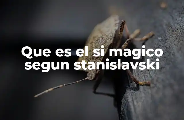 Que es el Si Magico Segun Stanislavski