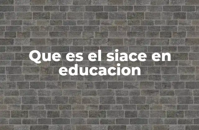 El rol del SIACE en la gestión educativa