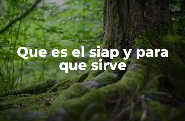 Que es el Siap y para que Sirve