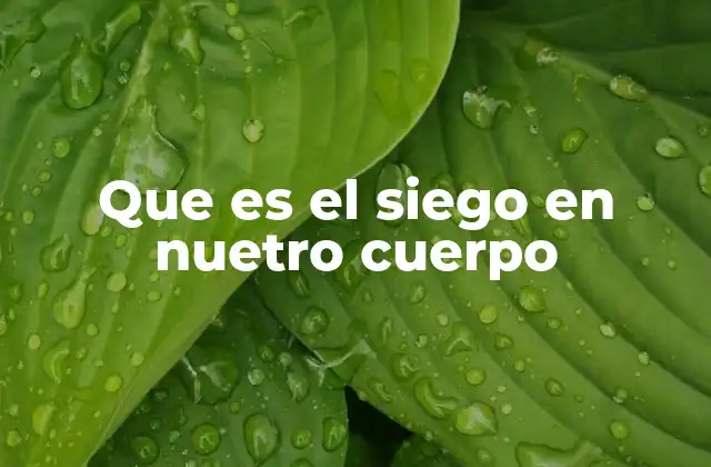 Que es el Siego en Nuetro Cuerpo