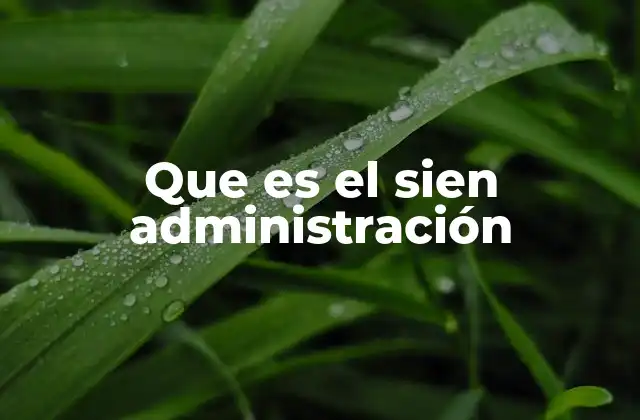 Que es el Sien Administración