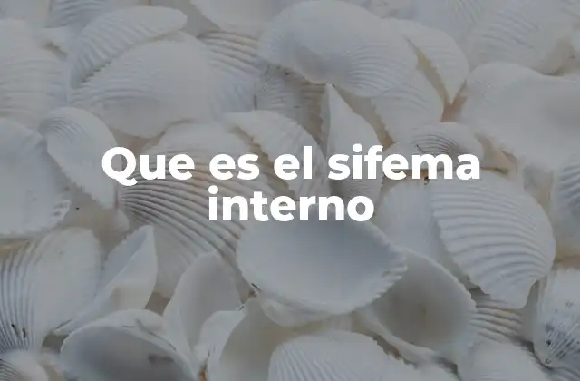 Que es el Sifema Interno