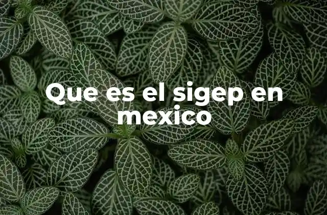 Que es el Sigep en Mexico