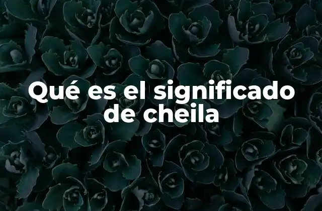 Qué es el Significado de Cheila 2 El uso de cheila en el habla cotidiana