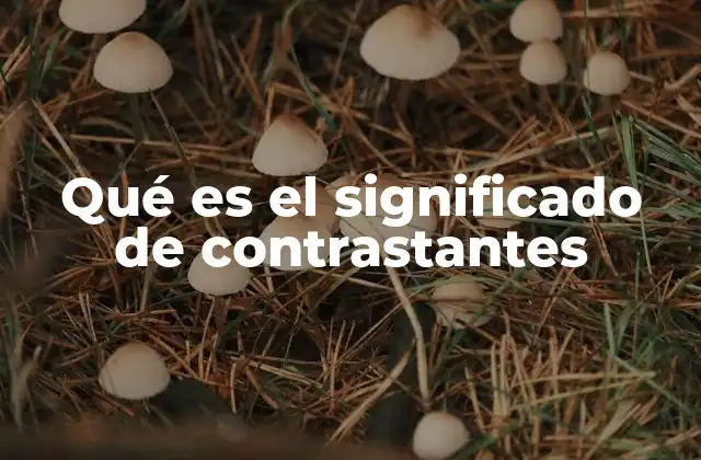 Qué es el Significado de Contrastantes