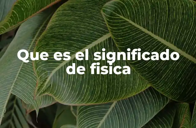 Que es el Significado de Fisica 2 La ciencia que explica el universo