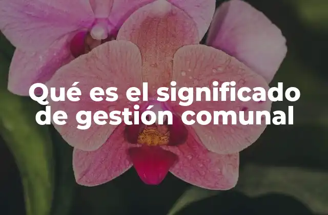 Qué es el Significado de Gestión Comunal