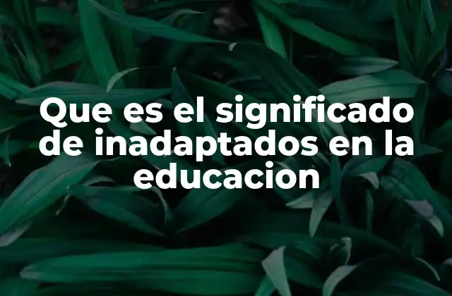 Que es el Significado de Inadaptados en la Educacion