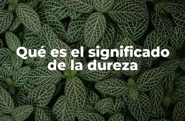 Qué es el Significado de la Dureza