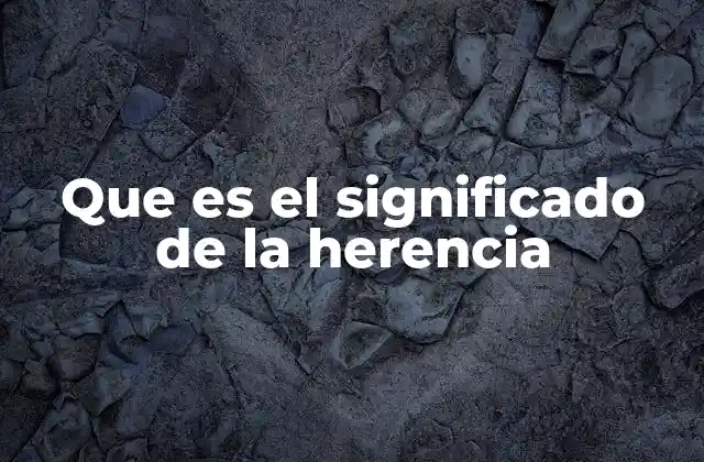 Que es el Significado de la Herencia