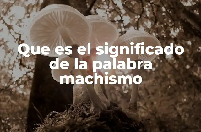 Que es el Significado de la Palabra Machismo