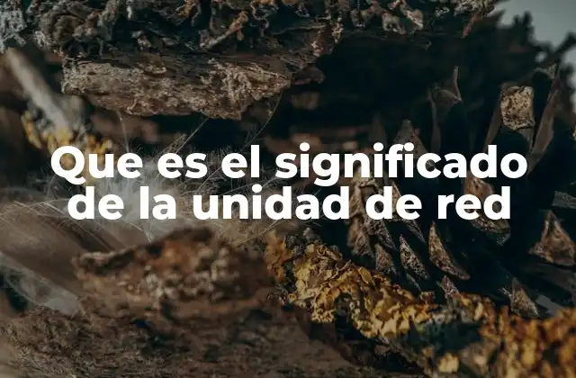 Que es el Significado de la Unidad de Red