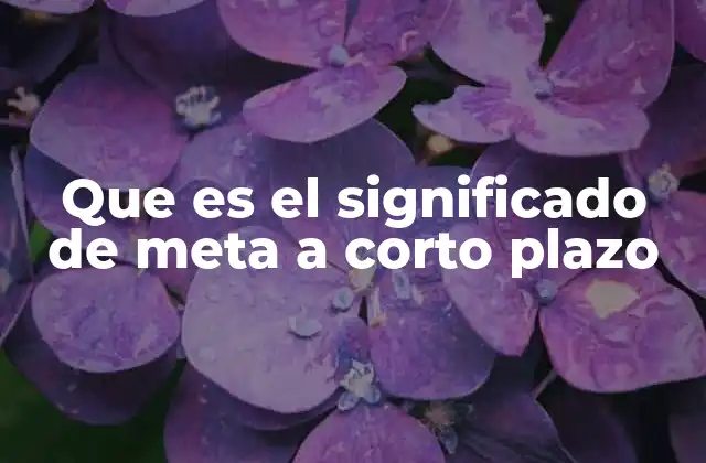 Que es el Significado de Meta a Corto Plazo