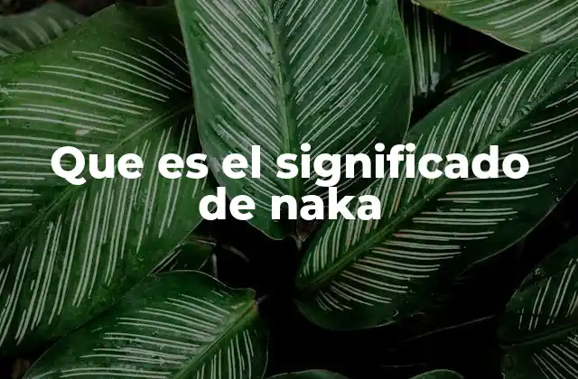 Que es el Significado de Naka