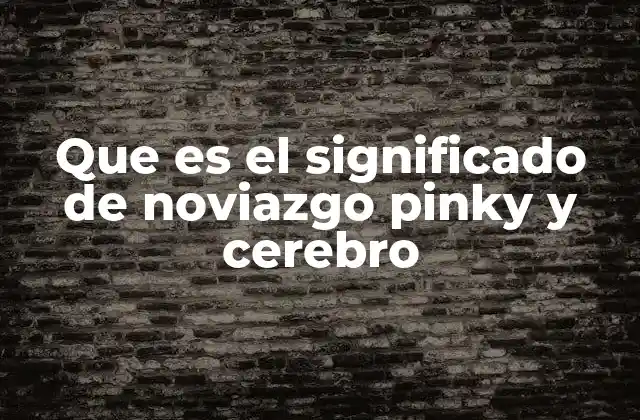 Que es el Significado de Noviazgo Pinky y Cerebro