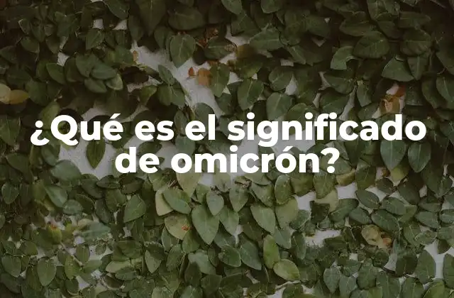 ¿qué es el Significado de Omicrón?