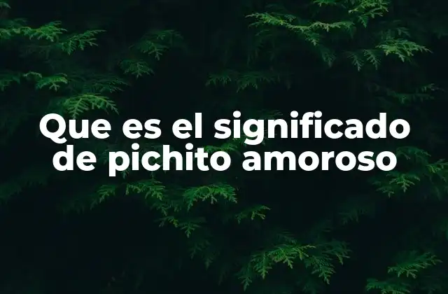 Que es el Significado de Pichito Amoroso
