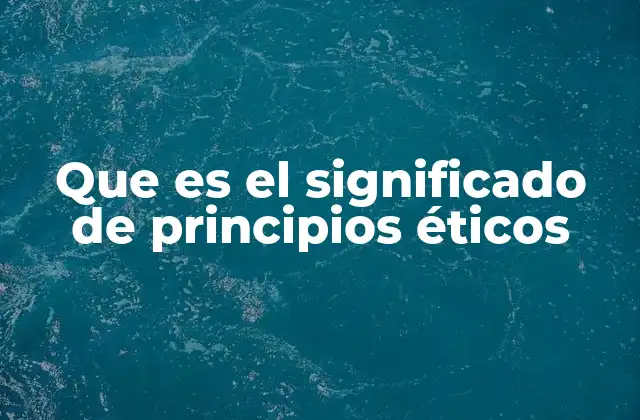Que es el Significado de Principios Éticos