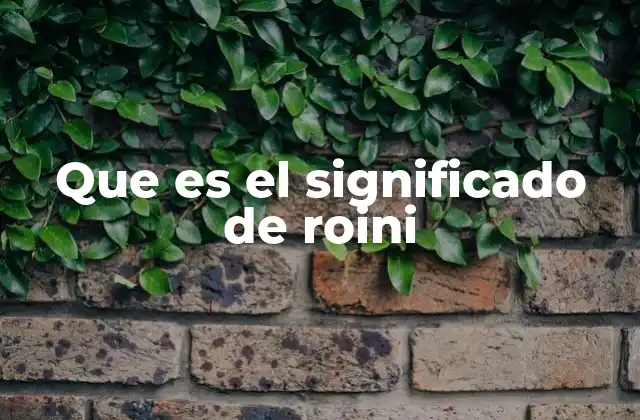 Que es el Significado de Roini