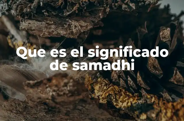 Que es el Significado de Samadhi