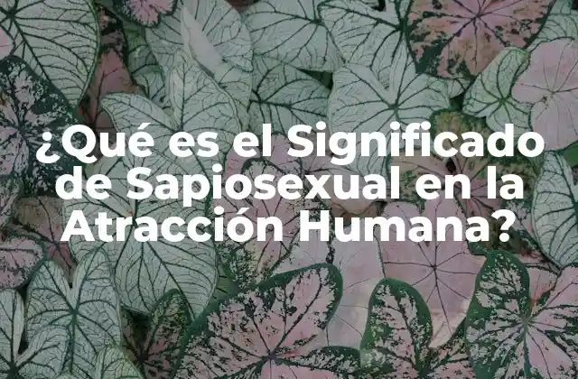 ¿qué es el Significado de Sapiosexual en la Atracción Humana?