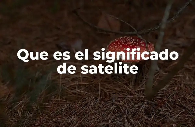 Que es el Significado de Satelite