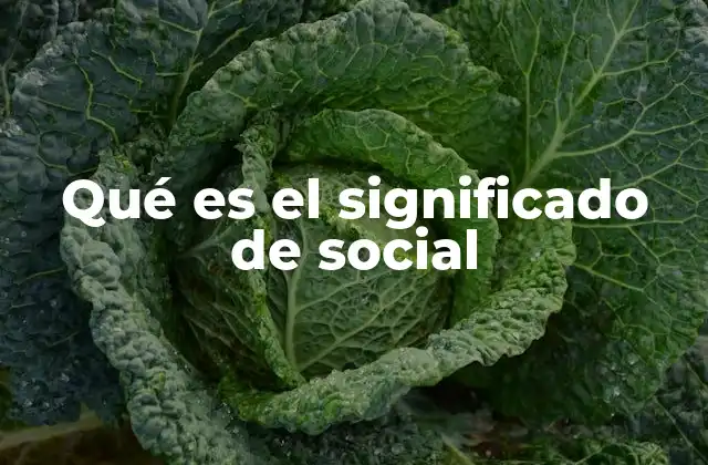 Qué es el Significado de Social