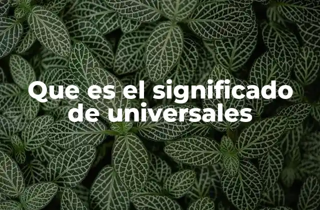Que es el Significado de Universales