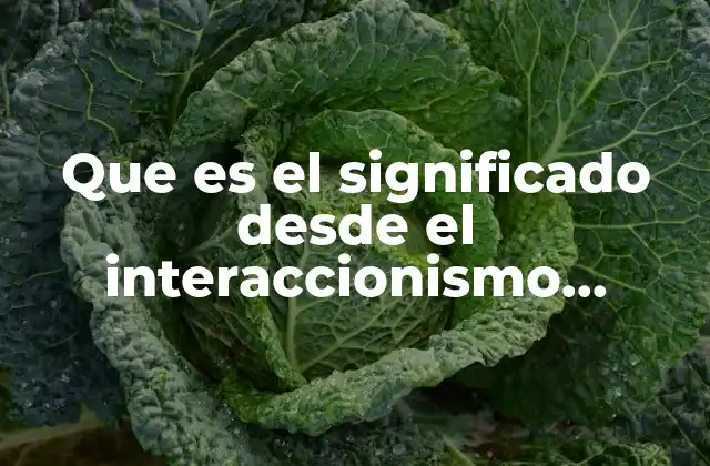 Que es el Significado desde el Interaccionismo Simbolico