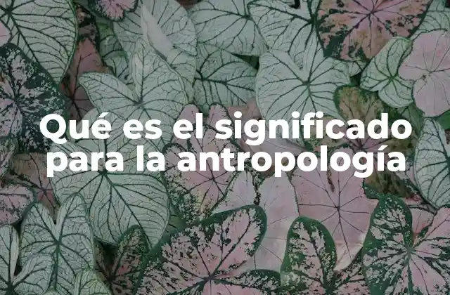 Qué es el Significado para la Antropología