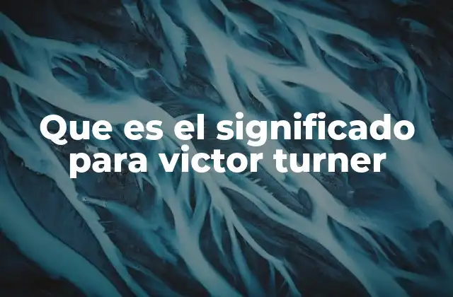 Que es el Significado para Victor Turner