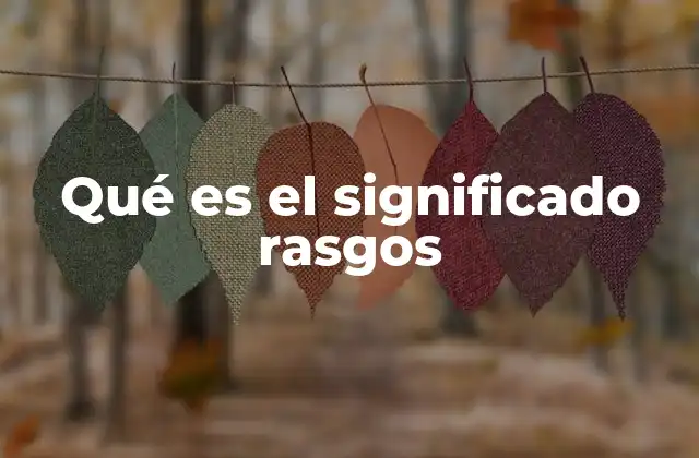 Qué es el Significado Rasgos