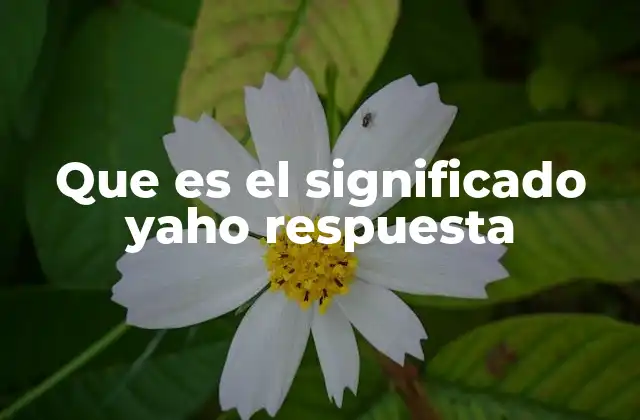 Que es el Significado Yaho Respuesta