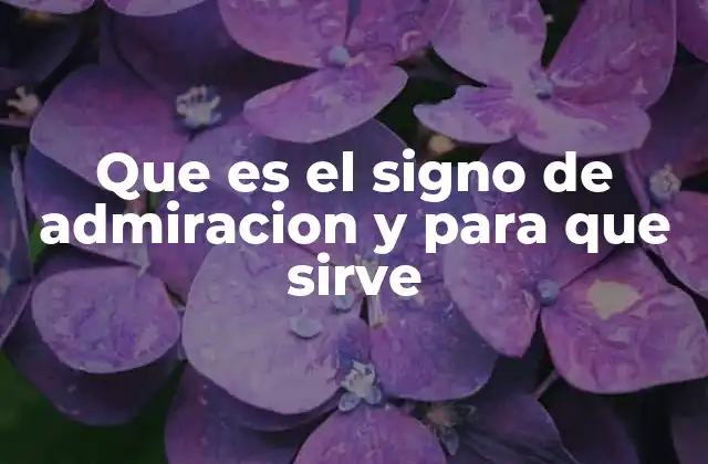 Que es el Signo de Admiracion y para que Sirve