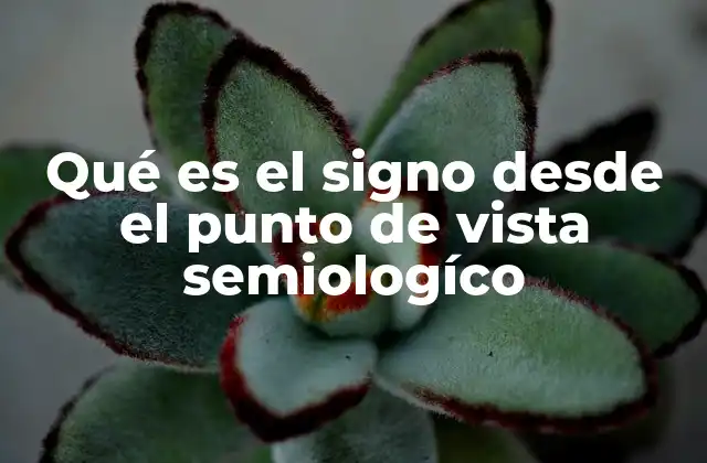 Qué es el Signo desde el Punto de Vista Semiologíco