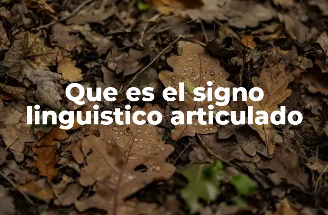 La importancia del signo en la comunicación humana