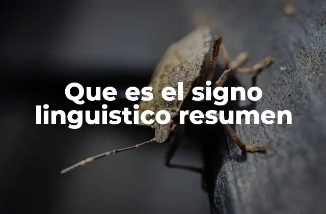 Que es el Signo Linguistico Resumen